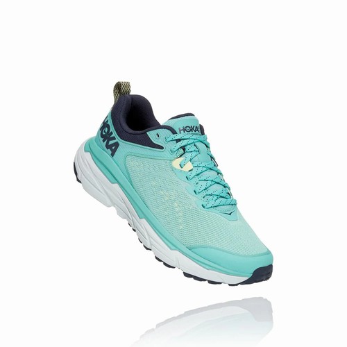 Hoka One One CHALLENGER ATR 6 Trail Running Shoes For Women India Green IN-9286